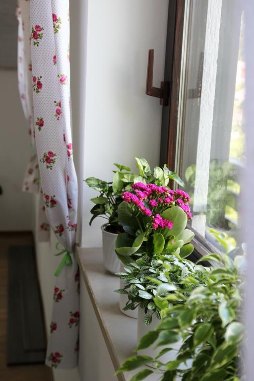Lake House Apartment Medvode Bagian luar foto