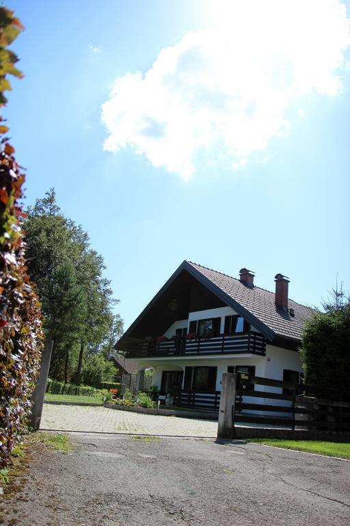 Lake House Apartment Medvode Bagian luar foto