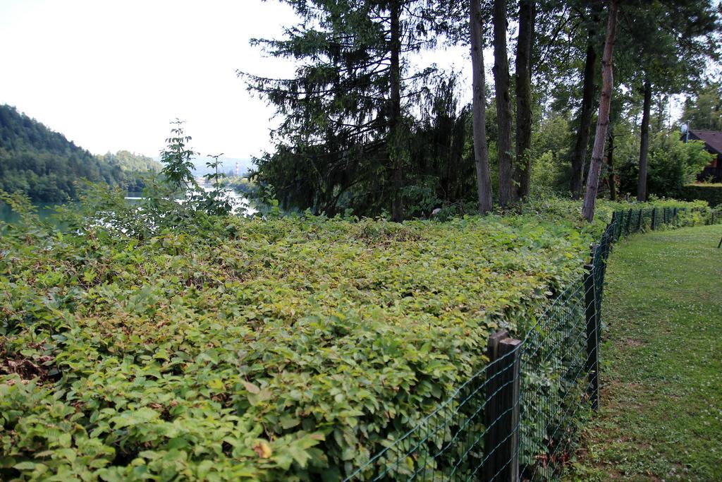Lake House Apartment Medvode Bagian luar foto