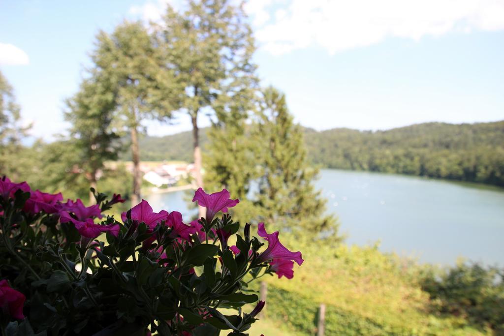 Lake House Apartment Medvode Bagian luar foto