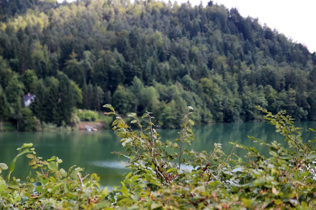 Lake House Apartment Medvode Bagian luar foto