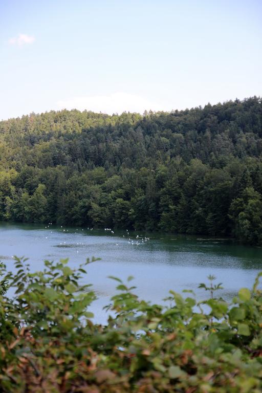 Lake House Apartment Medvode Bagian luar foto