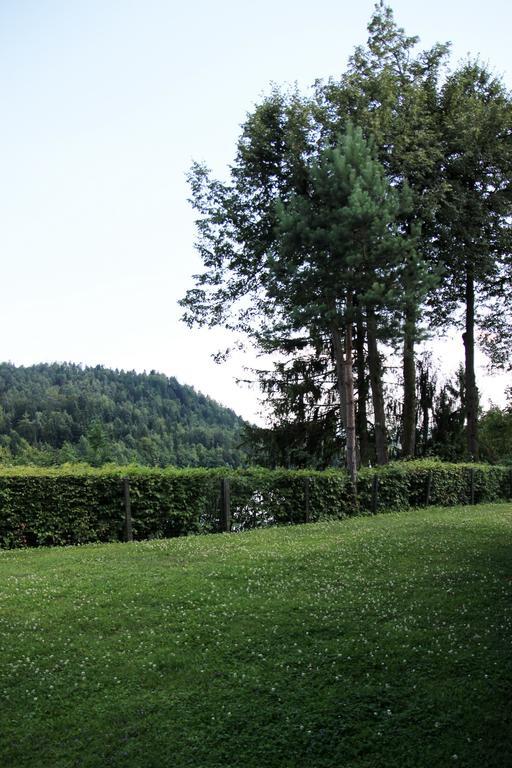 Lake House Apartment Medvode Bagian luar foto