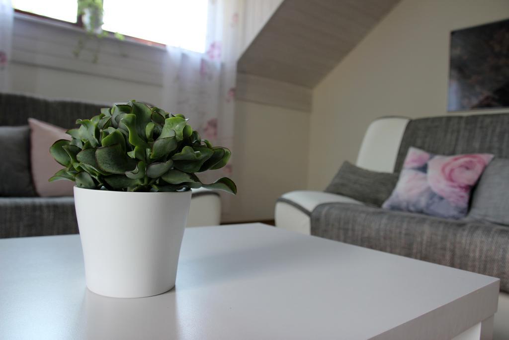 Lake House Apartment Medvode Bagian luar foto