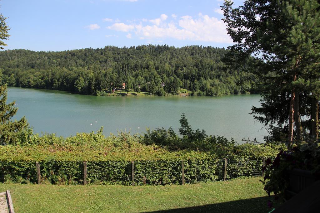 Lake House Apartment Medvode Bagian luar foto